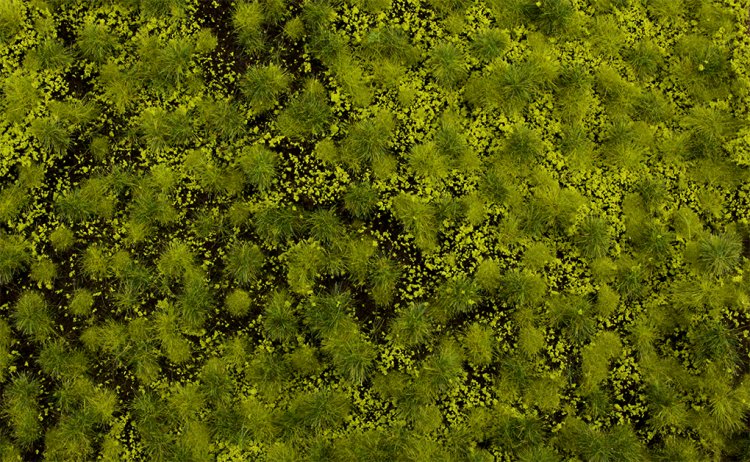 Light Green Tufted Grass Mat (one 11.75" X 7.5" sheet) - Click Image to Close