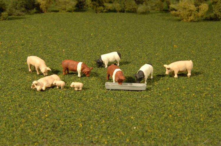 Pigs - HO Scale - Click Image to Close