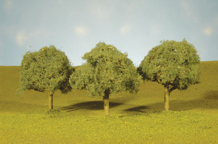 3" - 3½" Oak Trees - Click Image to Close