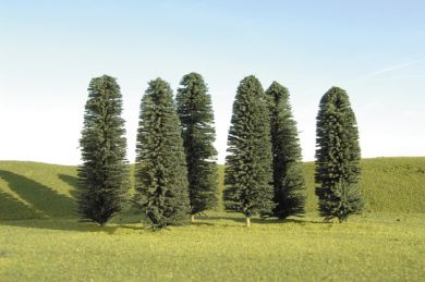 5" - 6" Cedar Trees - Click Image to Close