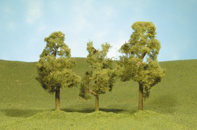 2.5" - 2.75" Sycamore Trees - Click Image to Close