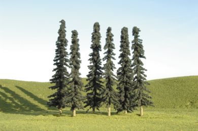 4" - 6" Conifer Bulk Trees (24 per Bag) - Click Image to Close