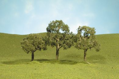 5" Walnut Trees - Click Image to Close