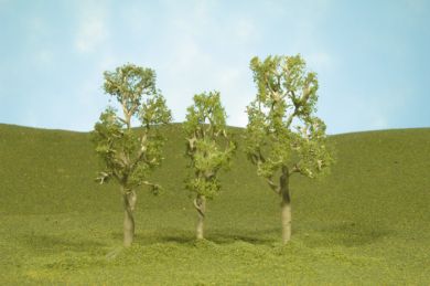 8" Aspen Trees - Click Image to Close