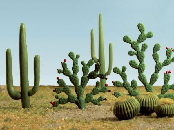 (image for) Mixed Cacti - 1/4" to 2.5" Tall (15 per pack)