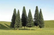 3" - 4" Pine Trees [WF]