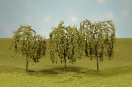 2.25"- 2.5" Willow Trees