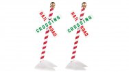 (image for) Christmas Crossbucks (With Snow Covered Stands)