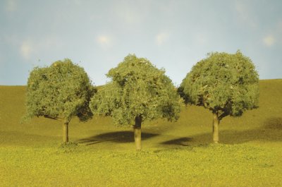 2¼" - 2½" Oak Trees