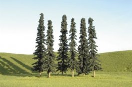 3" - 4" Conifer Trees