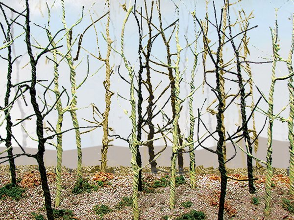 (image for) Wood's Edge Trees - Bare (14 per pack)