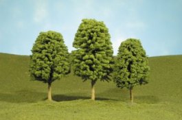 3" - 4" Deciduous Trees