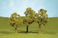 (image for) 5.5" Elm Trees