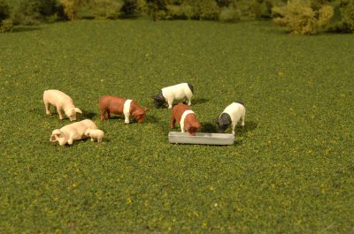 Pigs - O Scale
