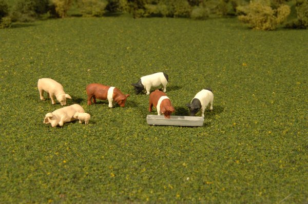 (image for) Pigs - O Scale