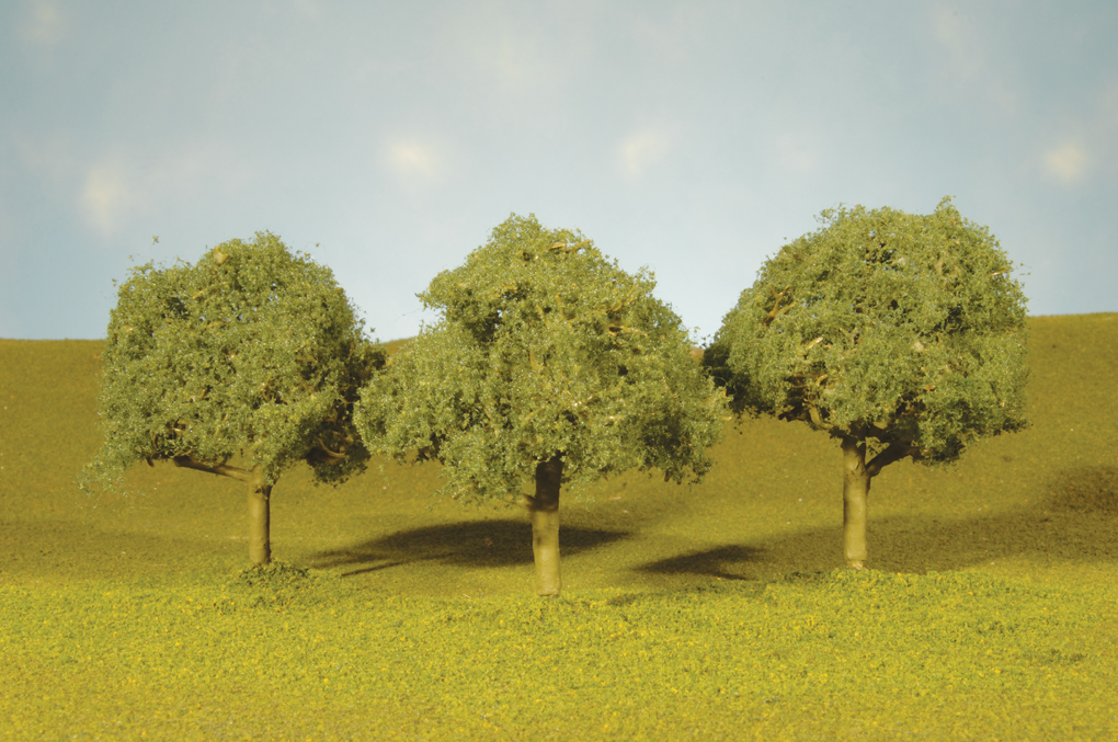 3" - 3½" Oak Trees